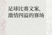 开云体育官方网站-包含足球赛场激情四射，精彩瞬间不容错过的词条
