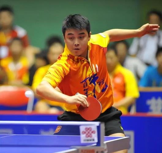 法国队翻盘瑞典队，王皓刷新纪录