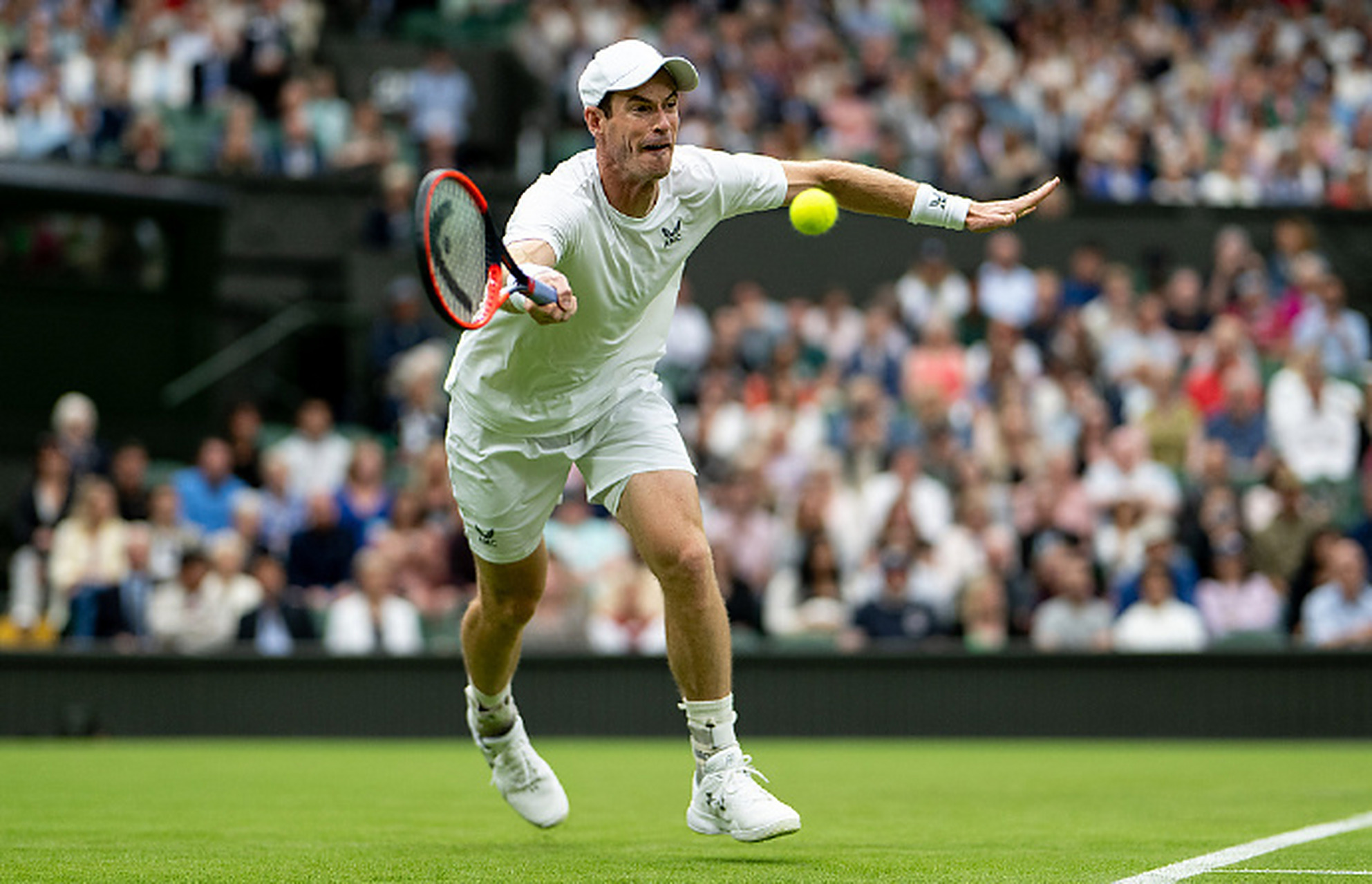 美网鏖战年终总决赛,穆雷状态火热 美网鏖战年终总决赛,穆雷状态火热