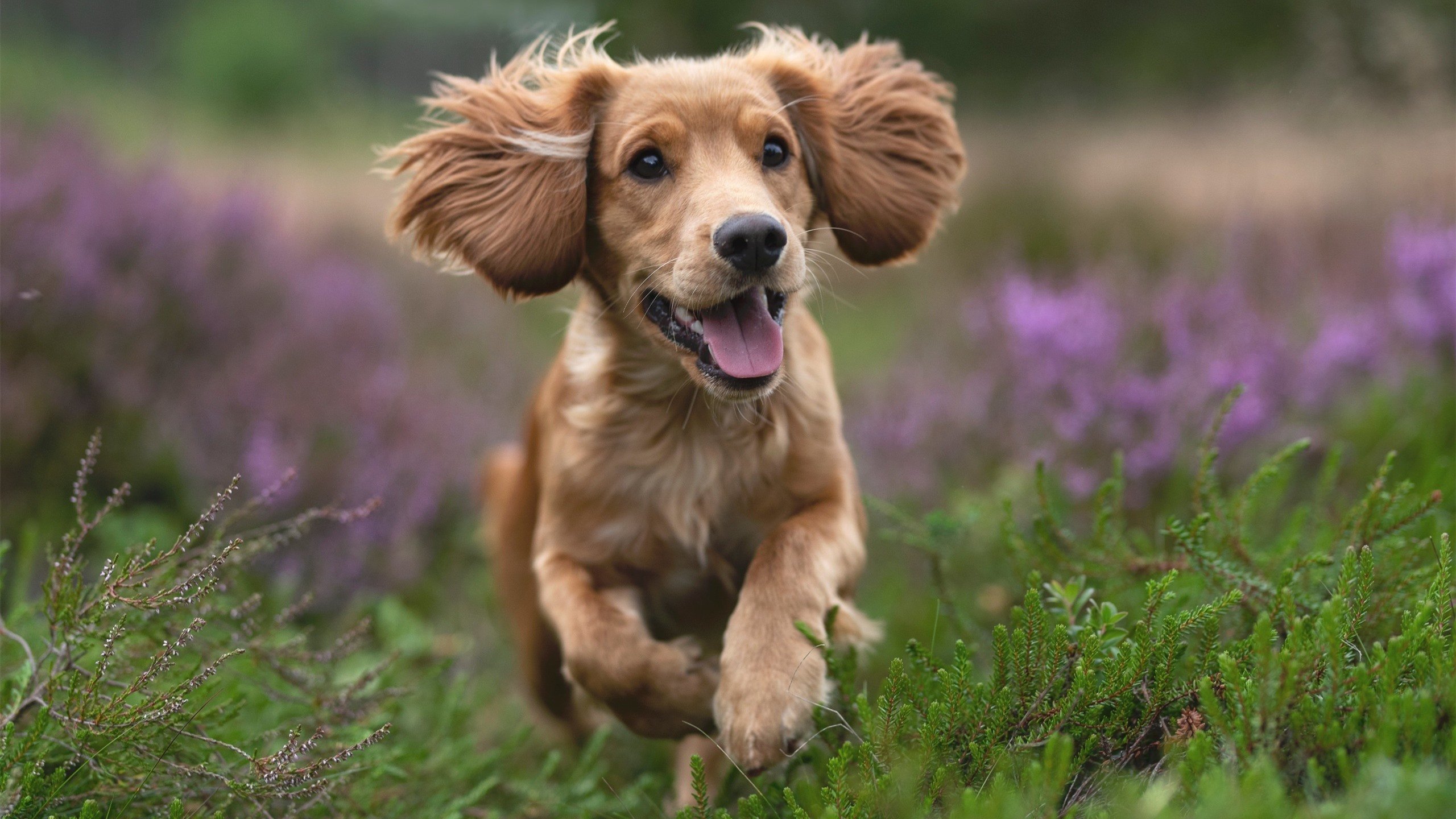 弑神之夜,当凯恩遭遇那个完全无解的对手