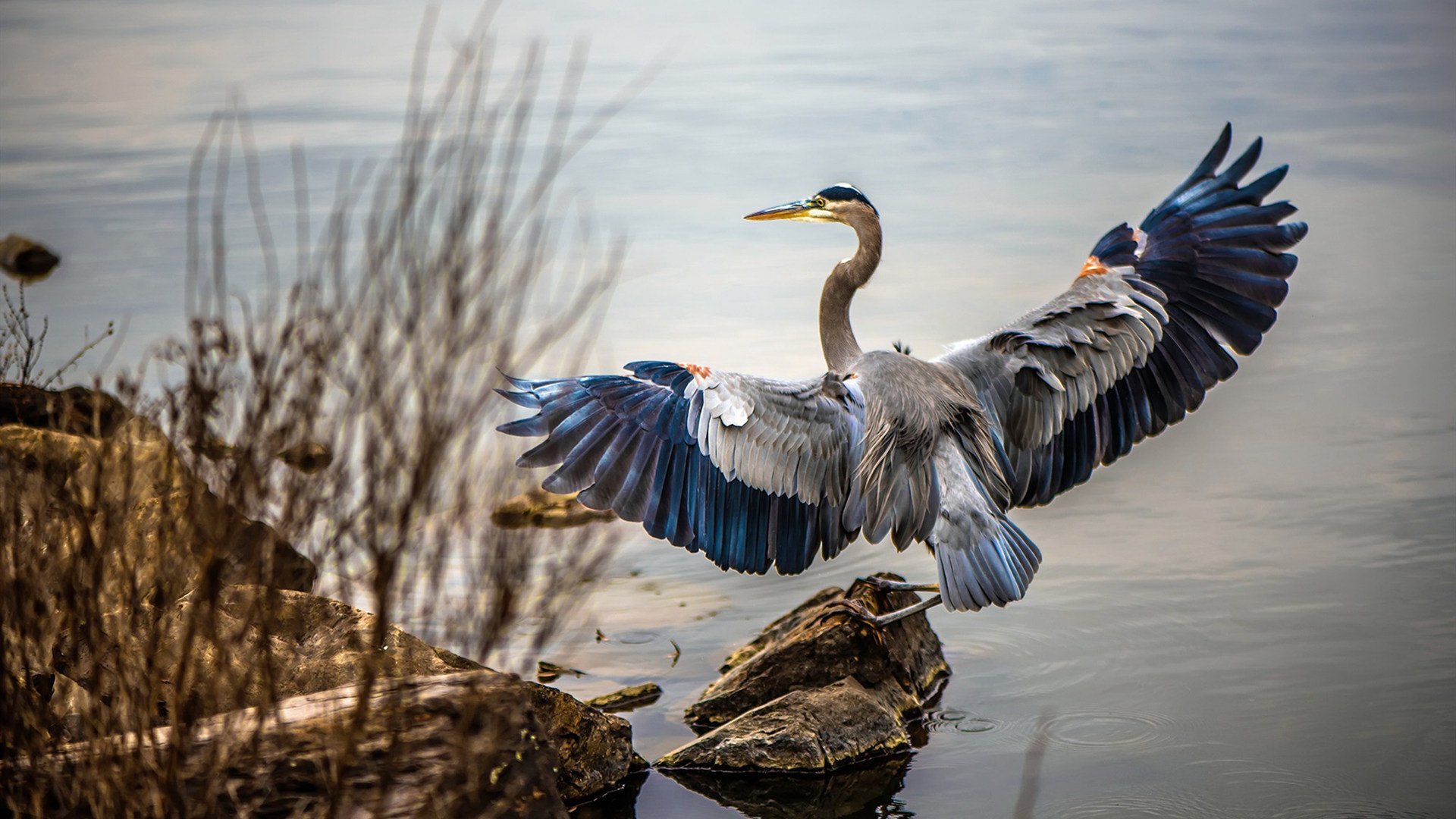 钢铁洪流淹过自由女神像，毕尔巴鄂击溃美国的背后