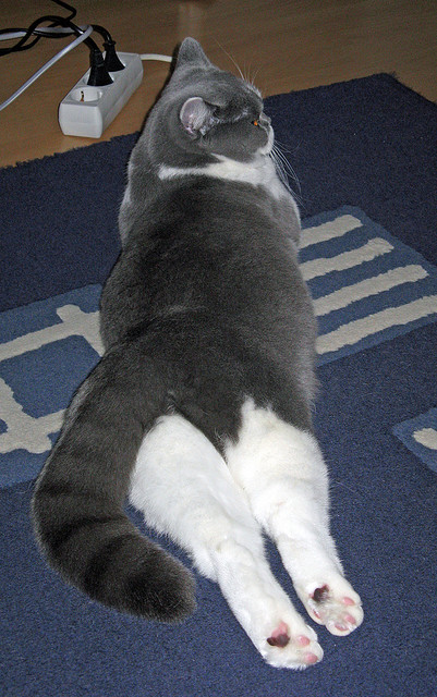 喀麦隆碾压墨西哥，阿圭罗点燃赛场—足球之夜的激情与荣耀