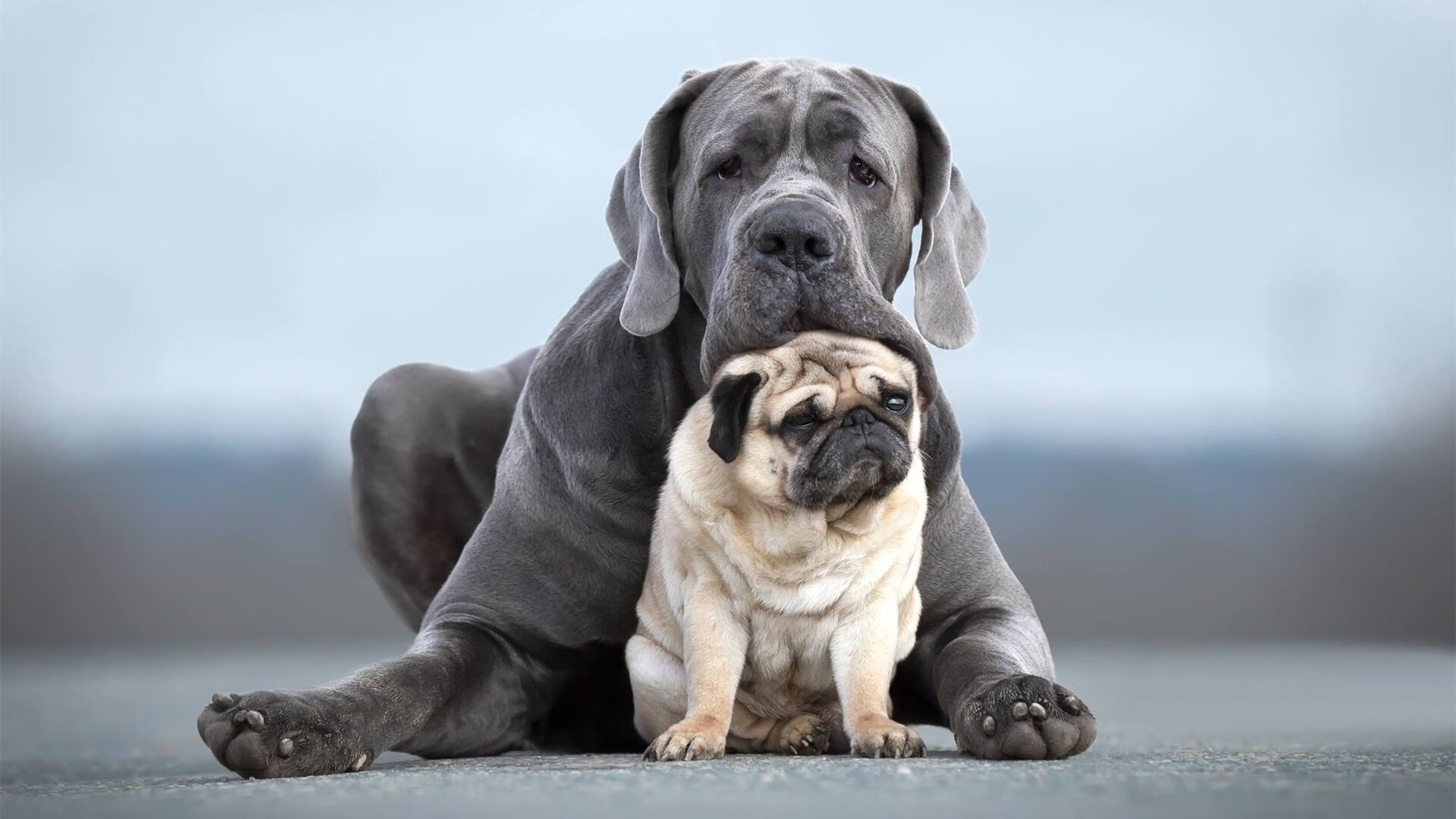 破晓前的璀璨，布克用压制级演出撕碎世界排名迷雾