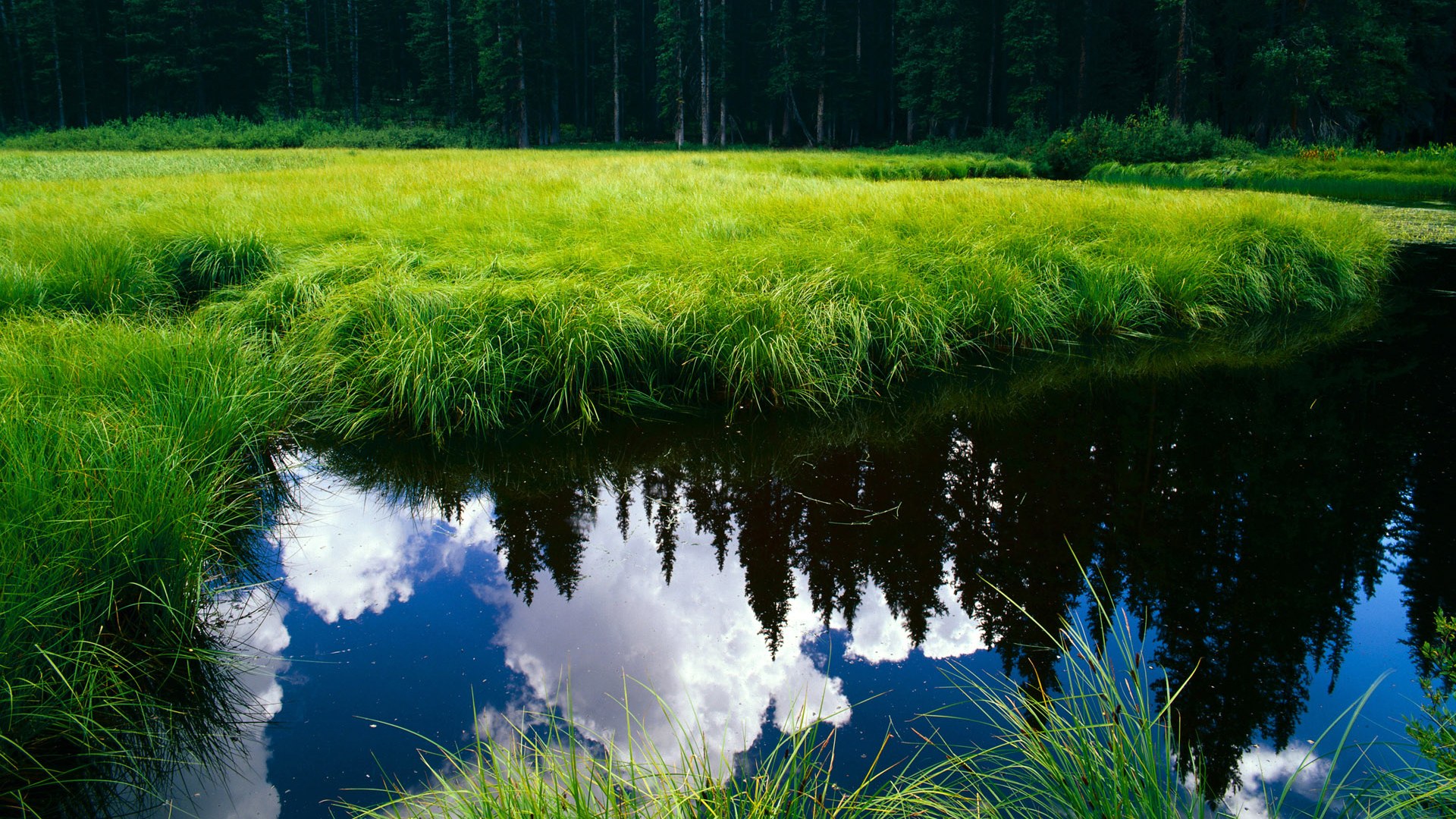 丹麦风暴席卷药厂，孔德绝杀引爆全场