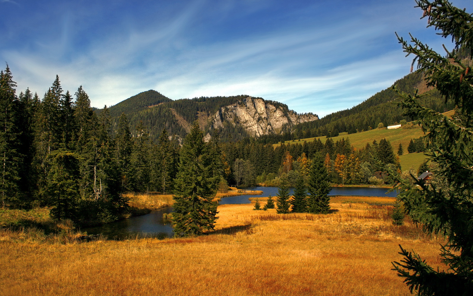 蓝白烈焰中的冰封艺术家,巴雷拉如何用沉默绞杀哥伦比亚的进攻风暴