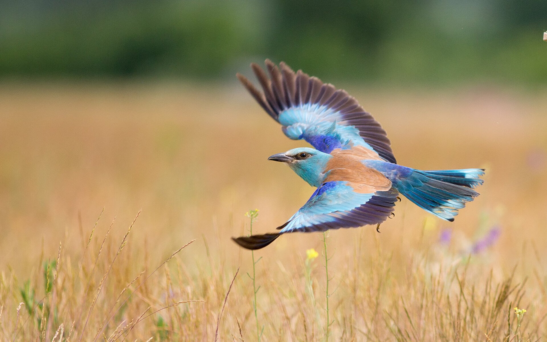 压制是序曲,接管是终章,论竞技场上的秩序更迭