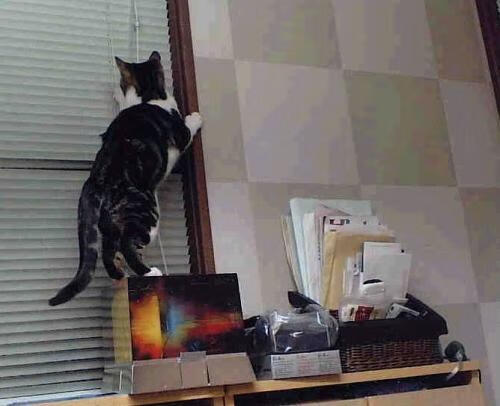 德罗赞稳如磐石，魔术主场力克黄蜂